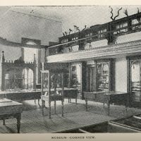 Black and white photo from the 1904-1905 College Calendar that shows a large, naturally lit room with several wooden cabinets containing assorted curios behind glass.