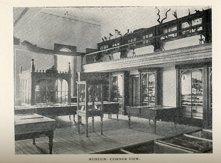 Black and white photo from the 1904-1905 College Calendar that shows a large, naturally lit room with several wooden cabinets containing assorted curios behind glass.